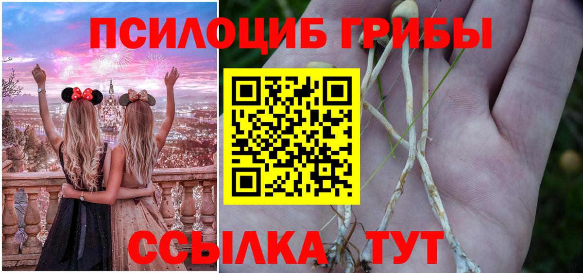Псилоцибиновые грибы Psilocybine cubensis Оренбург