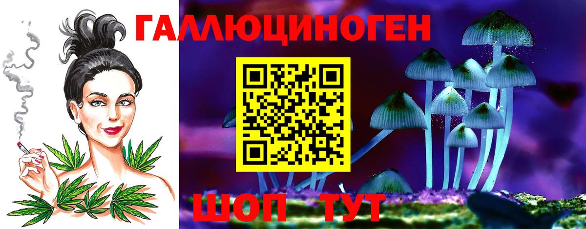 Псилоцибиновые грибы Psilocybine cubensis  Вход с VPN  Псилоцибиновые грибы Magic Shrooms  Оренбург 